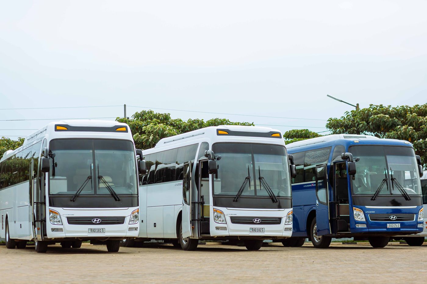 Fleet of coaches lined up for a corporate event